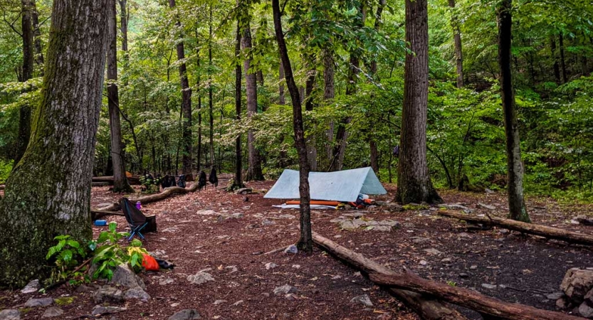 A tarp shelter sits in a green wooded area 